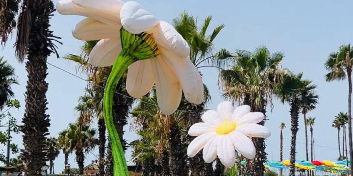 Émerveillez-vous avec nos Créations Florales au Parc Sindibad
